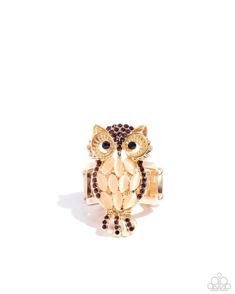 Paparazzi Owl Obsession – Brown – Tea & Black Rhinestones – Cat’s Eye – Gold Owl