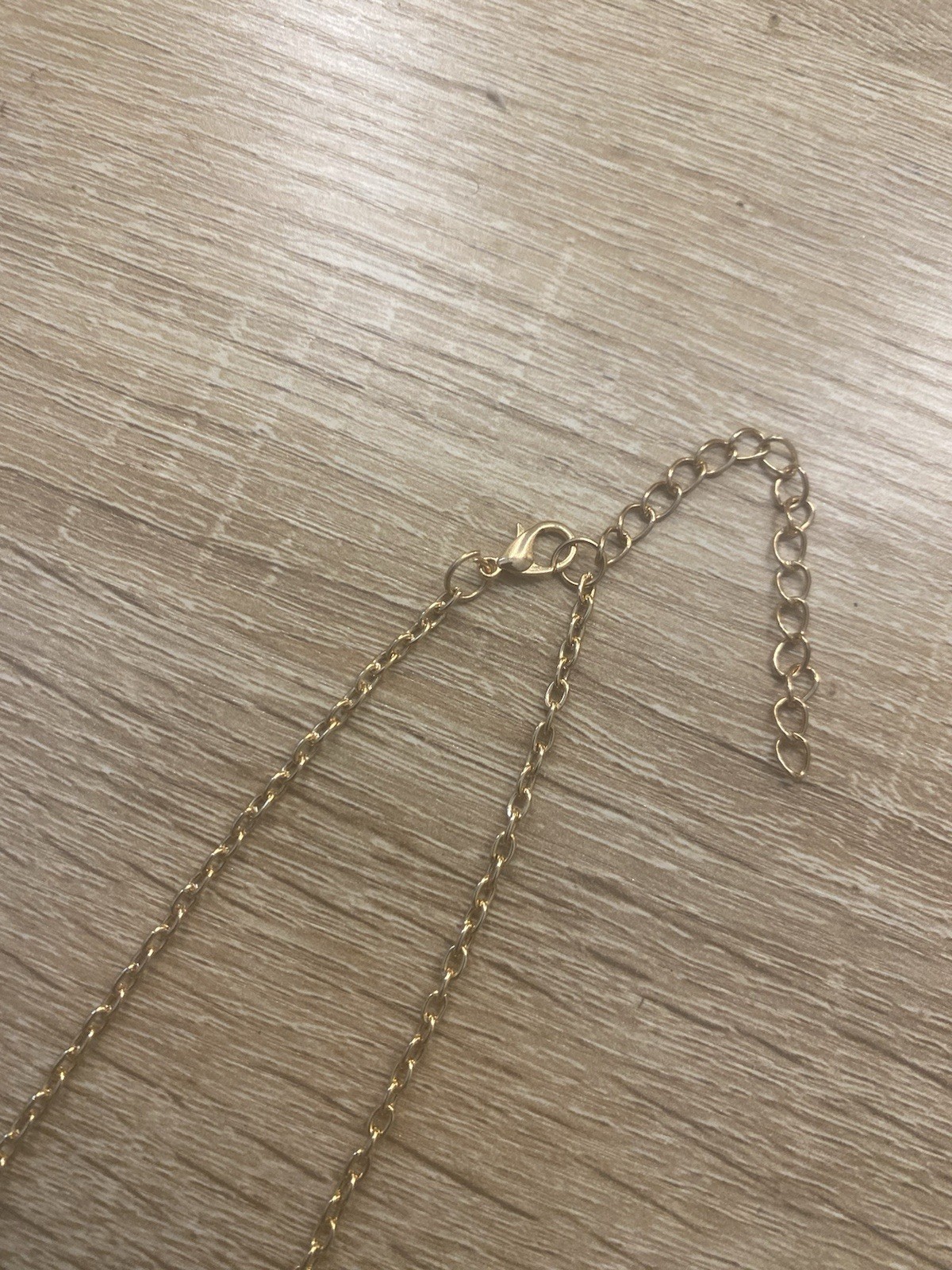 Gold Tone Cowrie Sea Shell Charm Cable Chain Beach Necklace