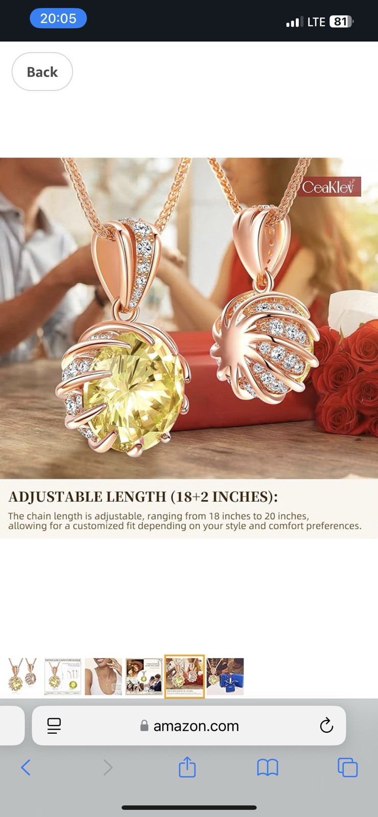 CeaKIev 6.0Carat (12.0mm) Round Cubic Zirconia Pendant Necklace