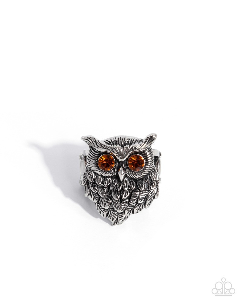 Paparazzi Wisest of Them All – Brown – Tea Rhinestones – Tactile Detail – Silver