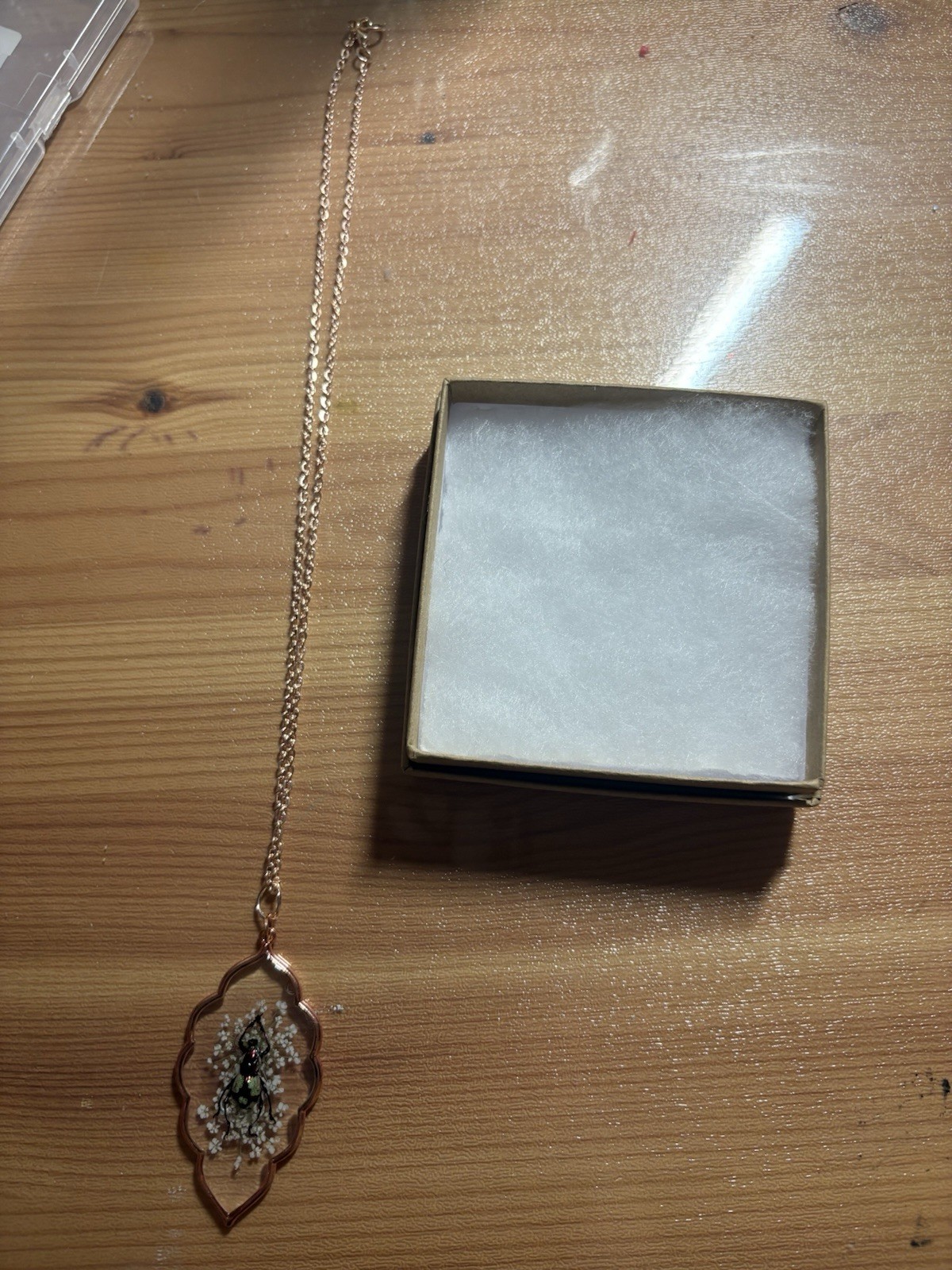 Real Beetle In Resin Necklace