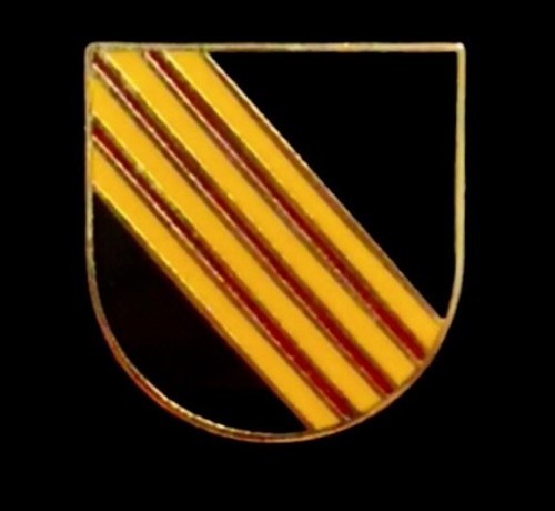 US Army 5th Special Forces Group Beret Flash SFG Airborne Pin