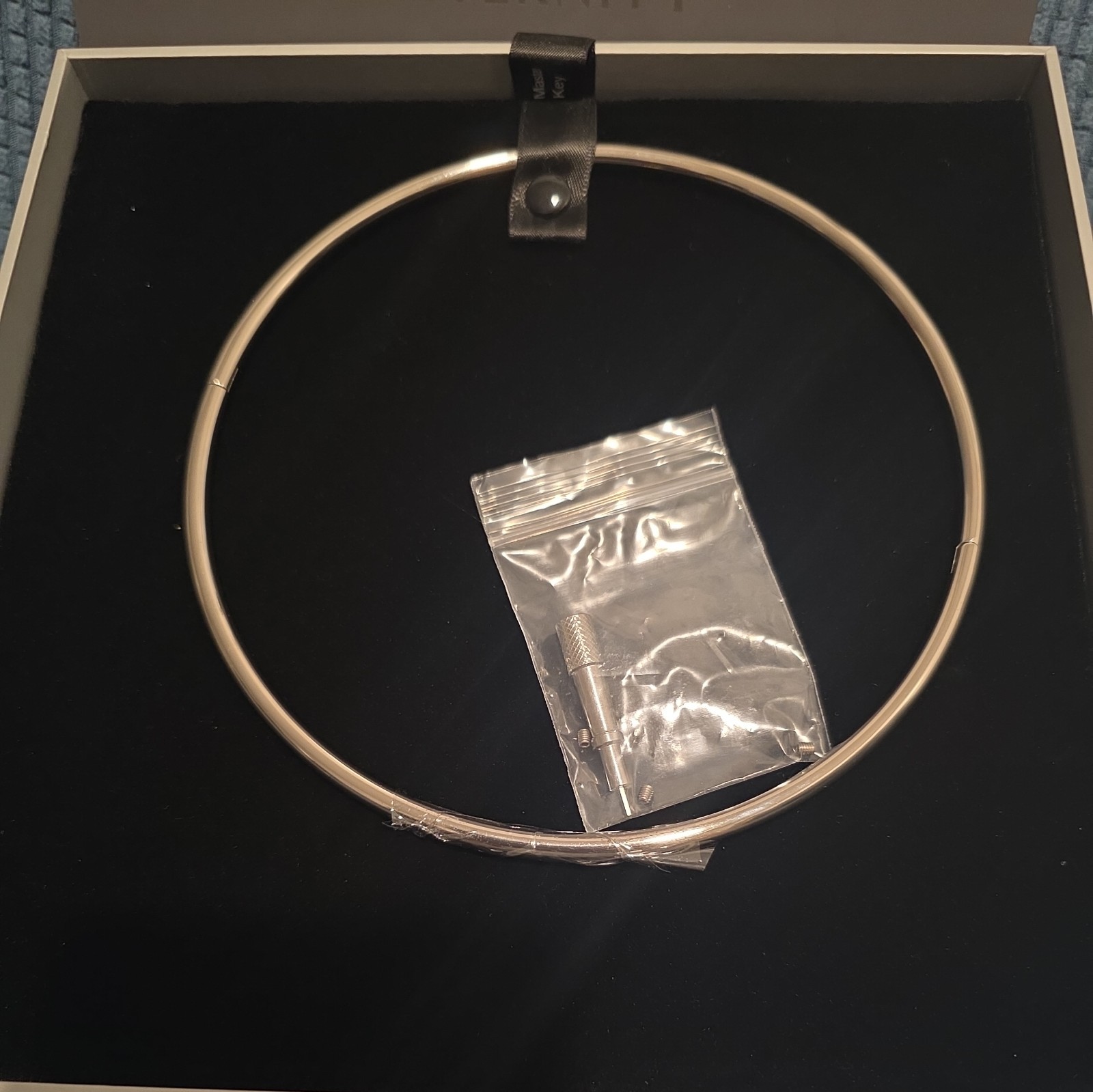 18 Inch 6mm Polished Locking Eternity Collar Titanium With Key