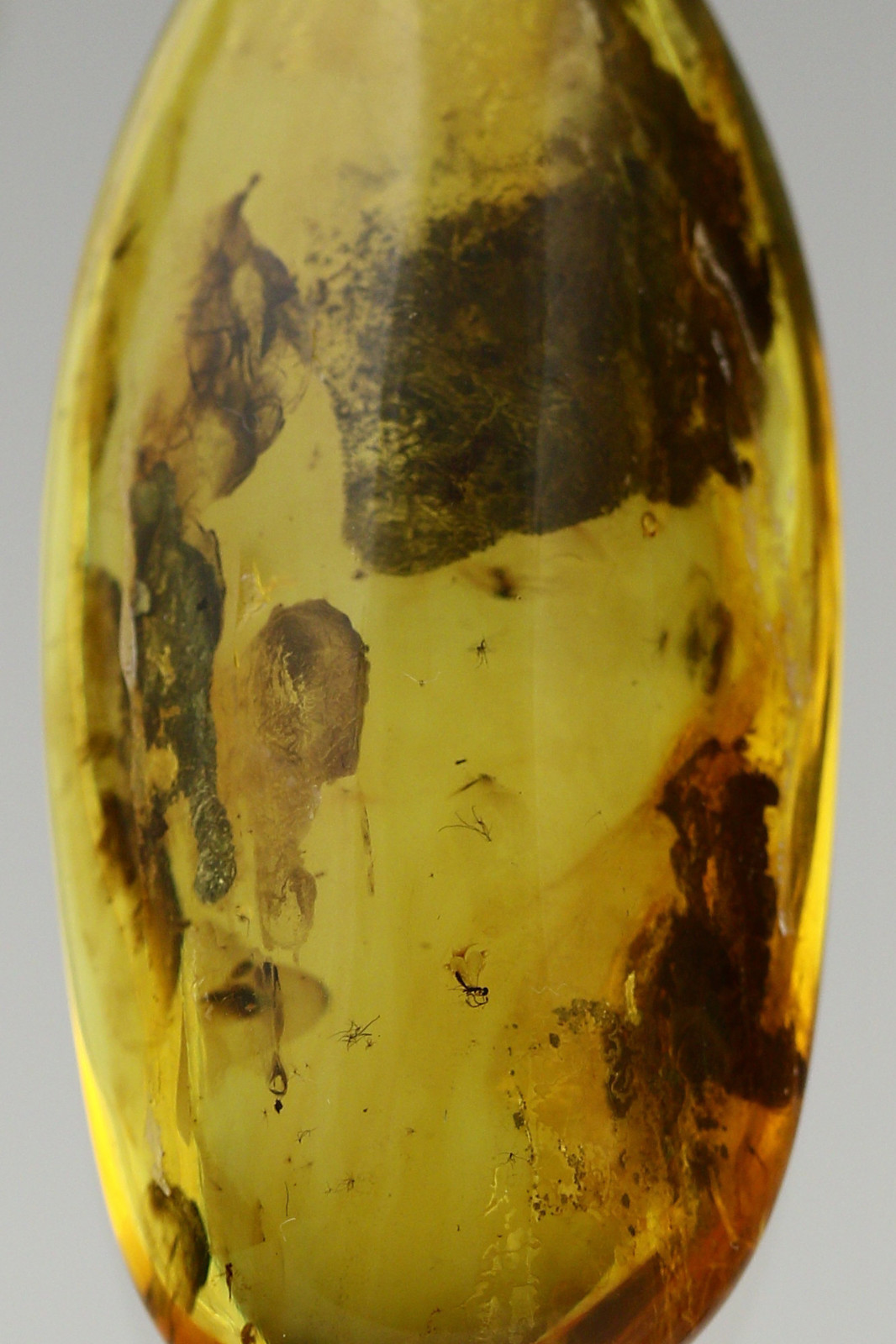 Genuine BALTIC AMBER 3 Fossil INSECTS Pendant on Linen String 15.7g 181025-2