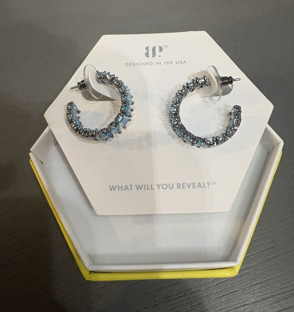 Rare Unicorn ER39586 Aquamarine Blue Ombre CZ Hoop Earrings