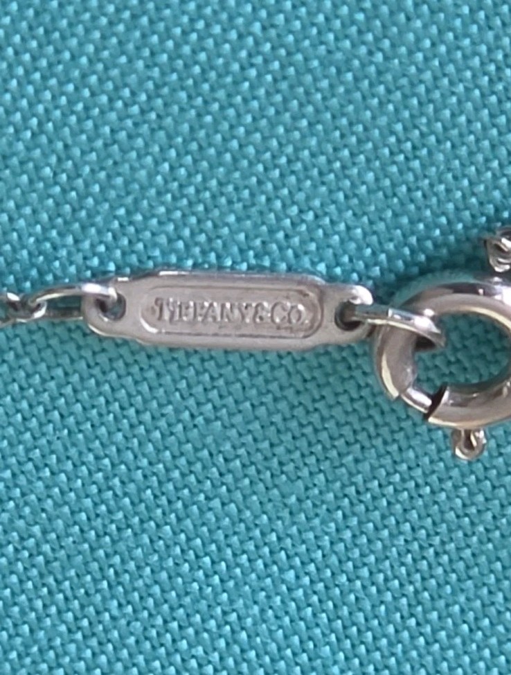 Tiffany & Co. Frank Gehry 925 Large Orchid Pendant Necklace Silver Chain 40cm