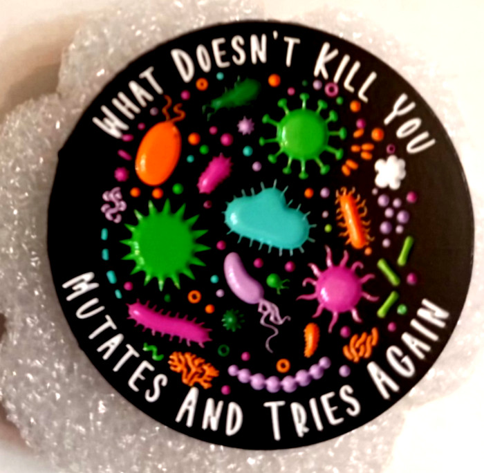 FUNNY SAYING PIN-2 OR MORE PINS $5.49 SHIPPING-SPEND $20 SHIPPING IS FREE