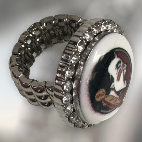 Snap Jewelry Florida Seminoles Glass 18-20mm Fits Ginger Charms Accessories