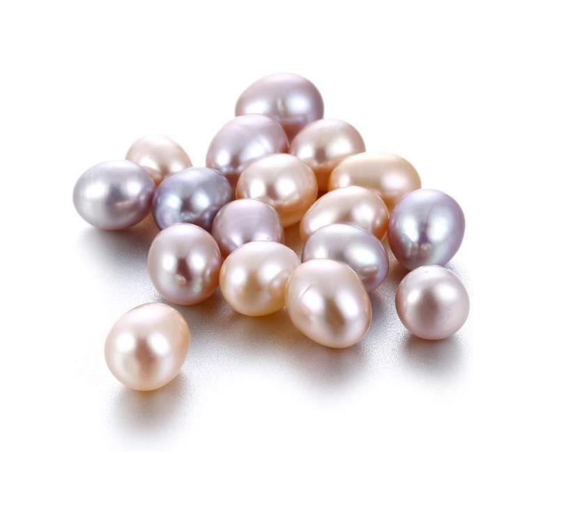 One Natural Freshwater Cultured Pearl Oyster with 5-7mm 25 Pearls Vacuum Pack
