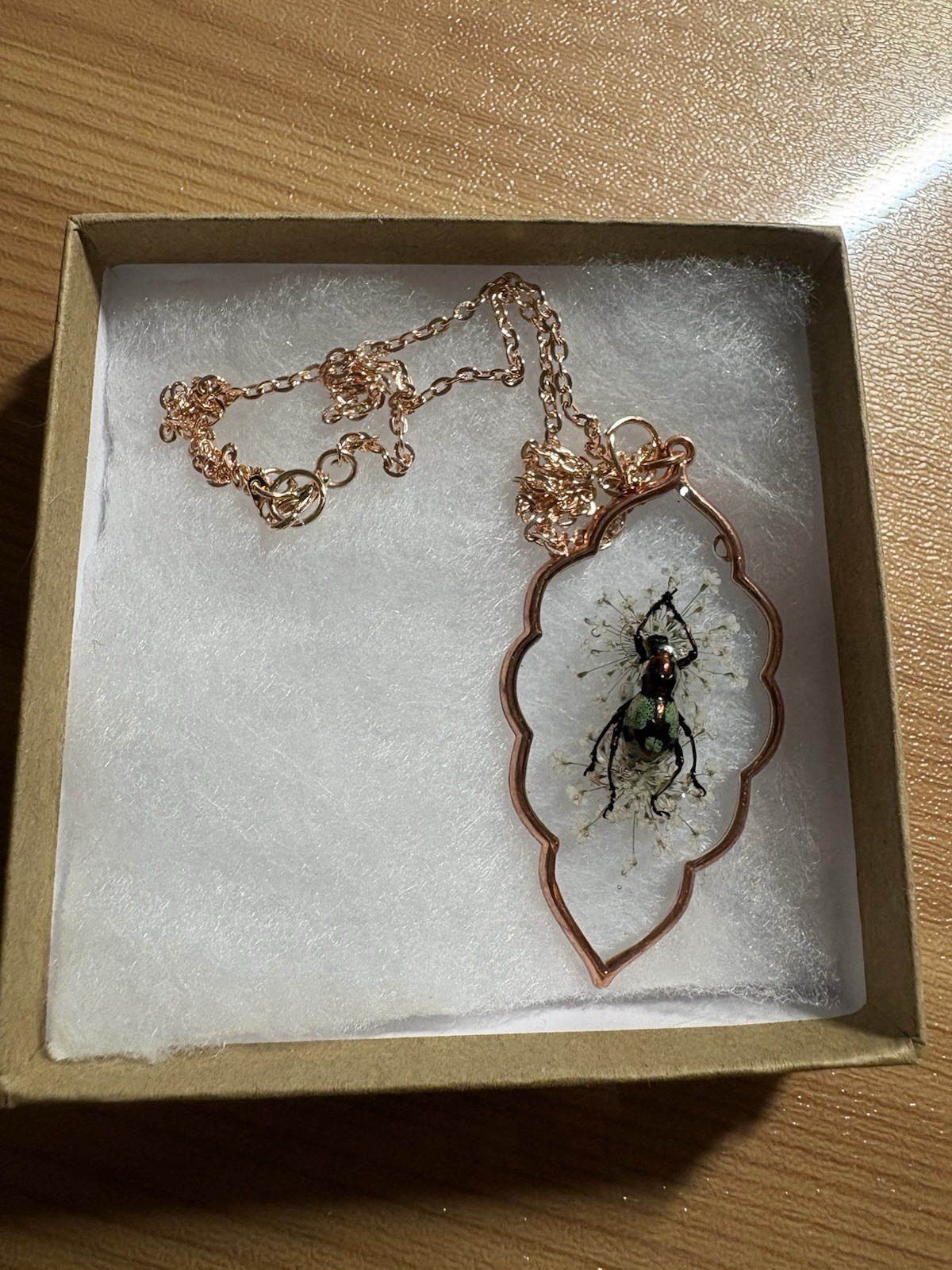 Real Beetle In Resin Necklace