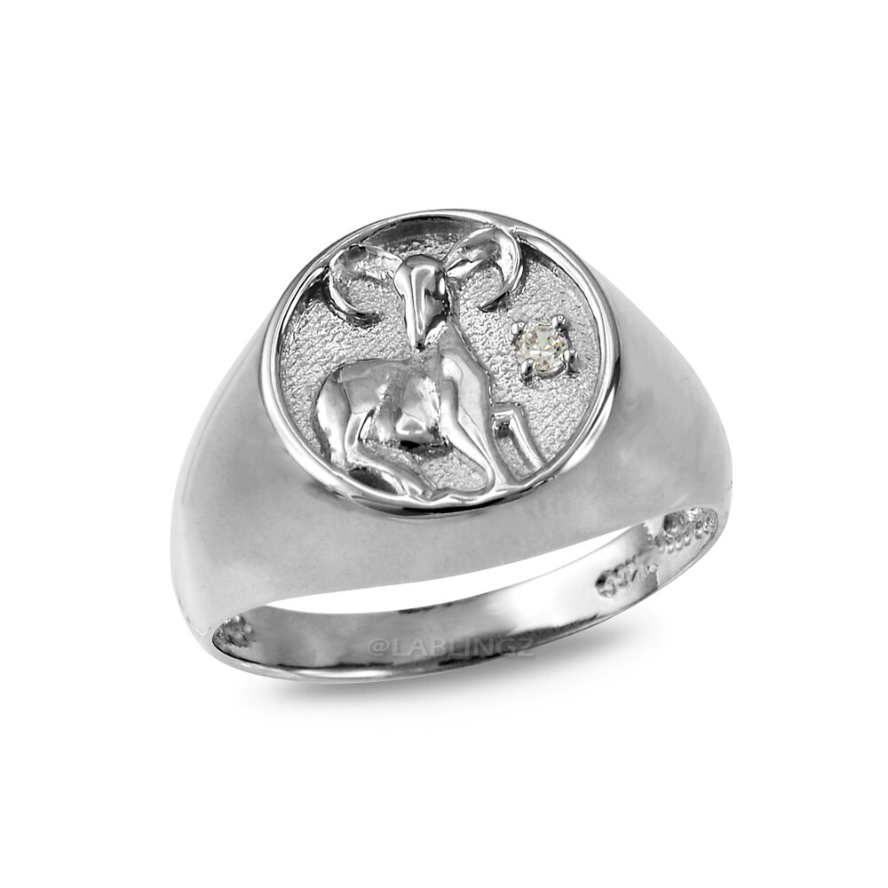 Sterling Silver CZ Birthstone Zodiac Ring