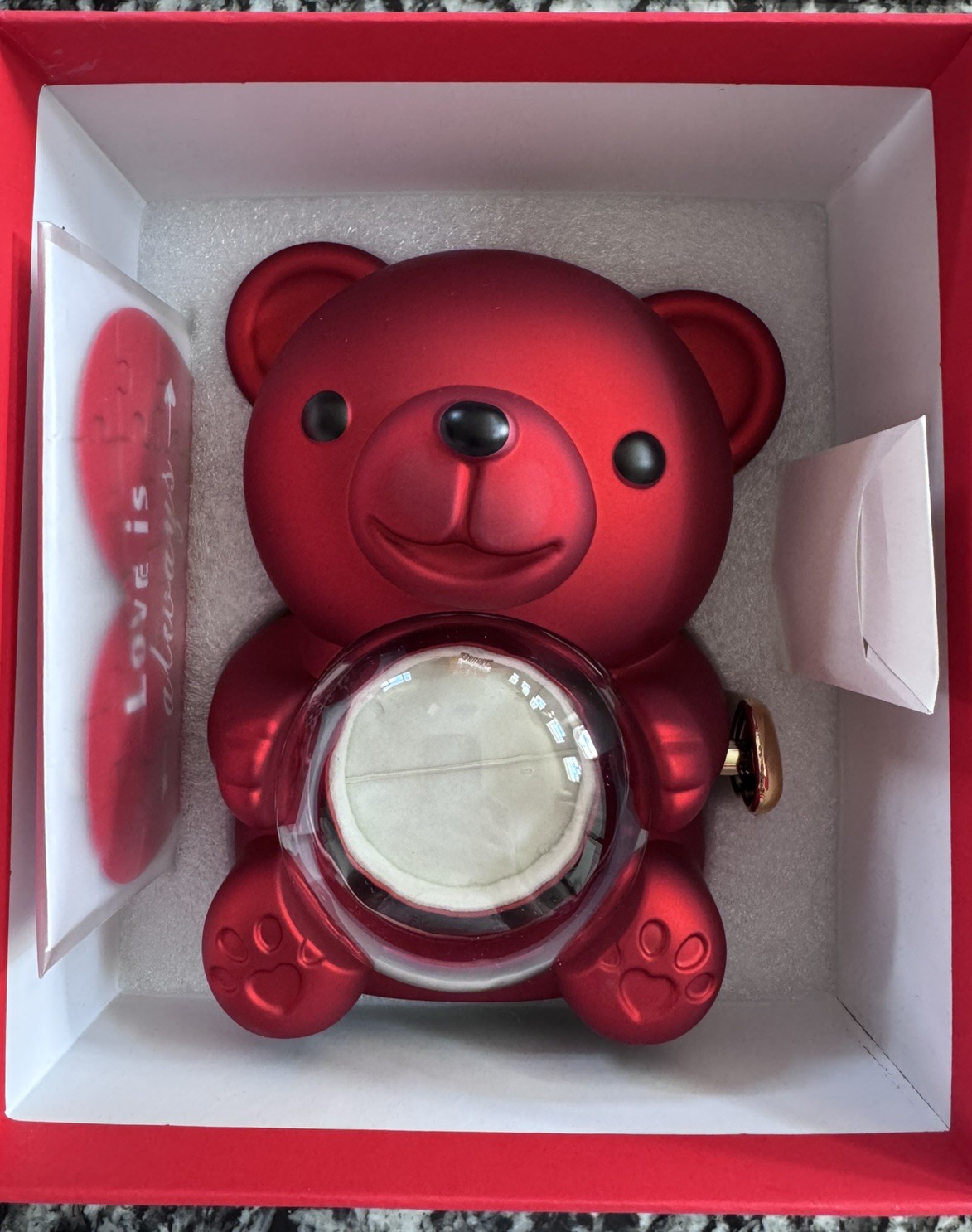 Special occasion gift set: Red Teddy Bear with Preserved Real Rose and Necklace