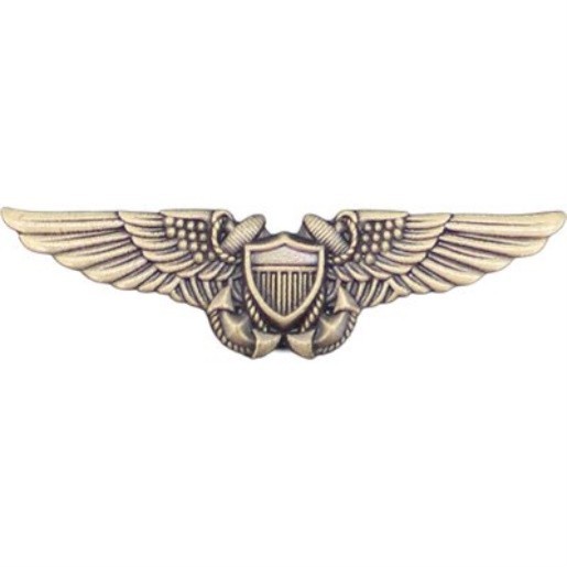 UNITED STATES NAVY Flight Officer Wing Lapel Pin NFO