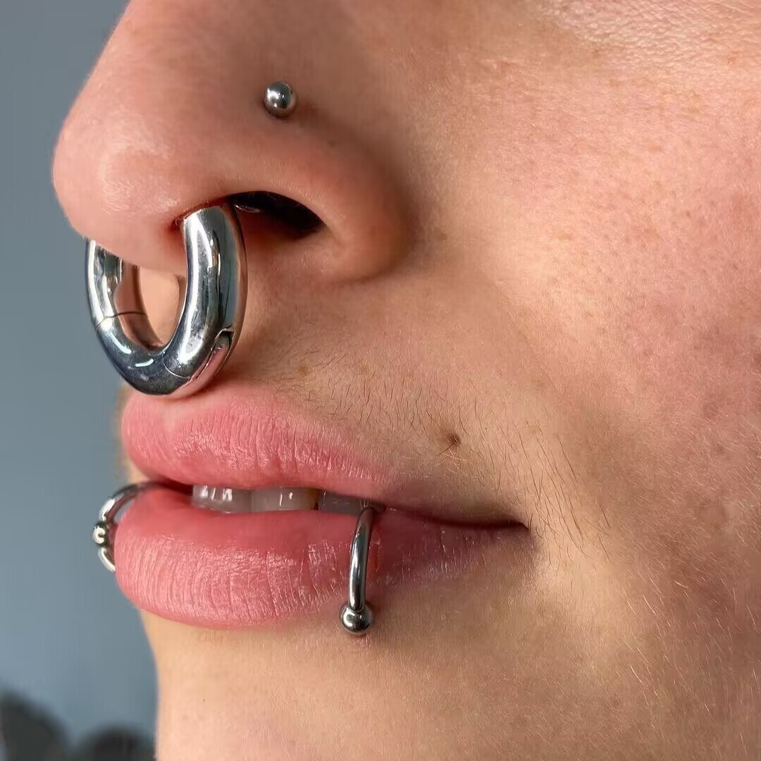 2G-12G Titanium Hinged Large Septum Ring Clicker Ear Gauge Hoop Earring Jewelry