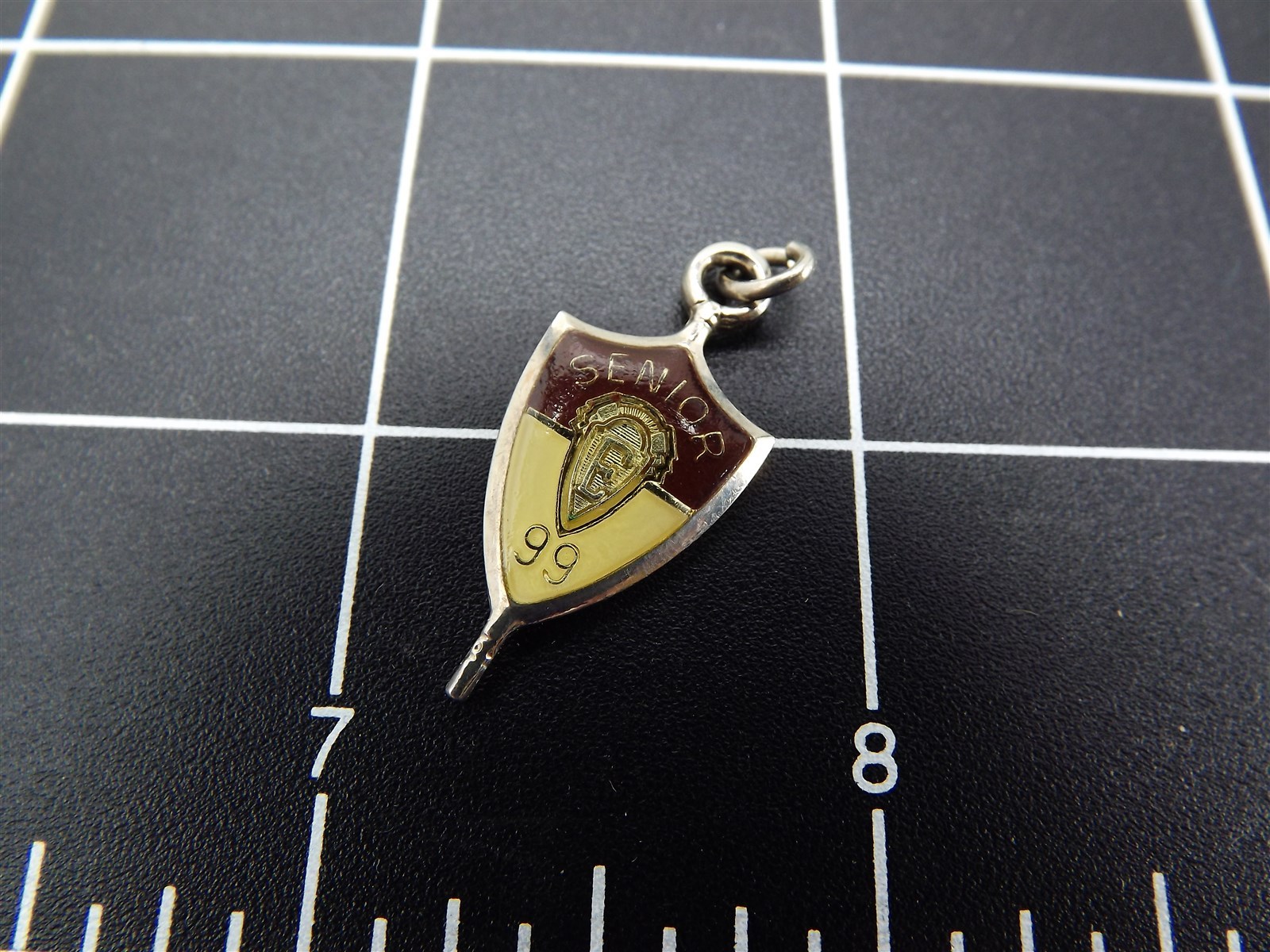 Jostens Senior E 1999 Enameled Charm Shield