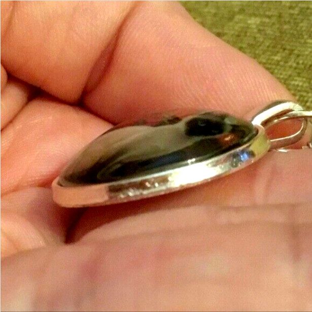CAT FACE HEAD PROFILE ART Pendant 925 Sterling Silver 20″ Necklace Men Women