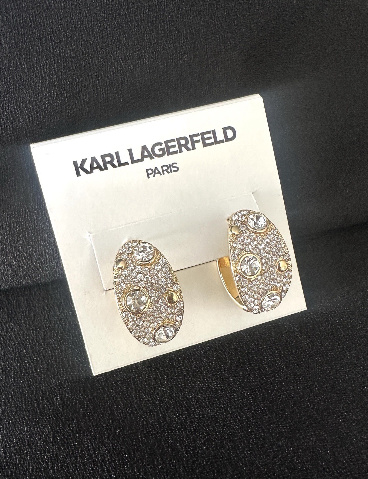 Karl Lagerfeld Crystal Pave Hoop Earrings