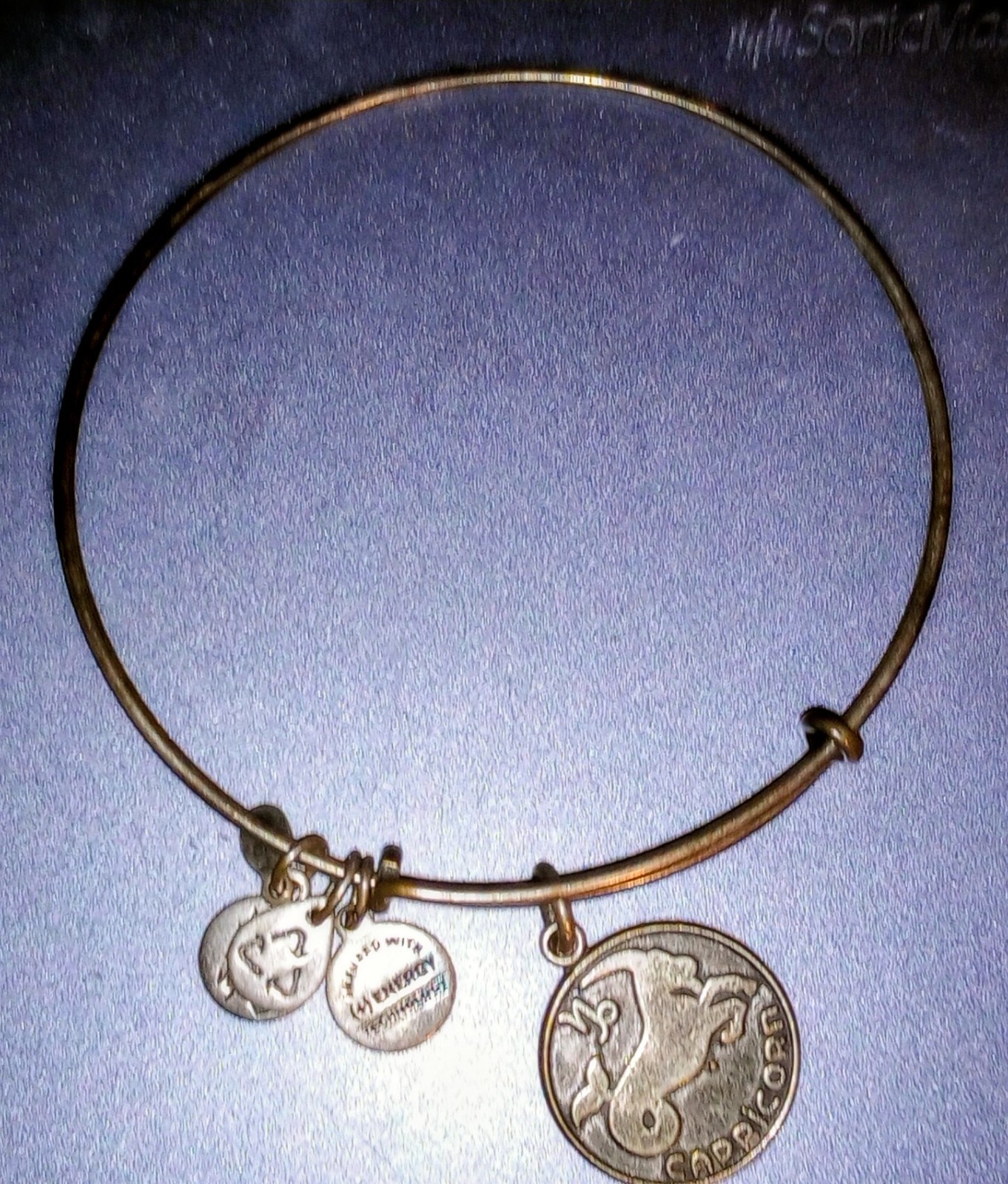 2000s Jewelry Alex & Ani Silver Tone & Gold Tone Charm Bracelets – Lot of 12