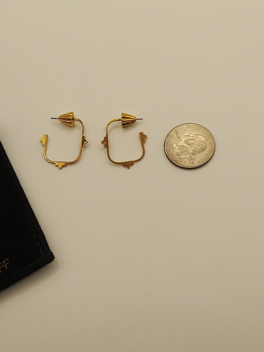 Rebecca Minkoff Gold Tone Hoop Earrings With Branded Bag