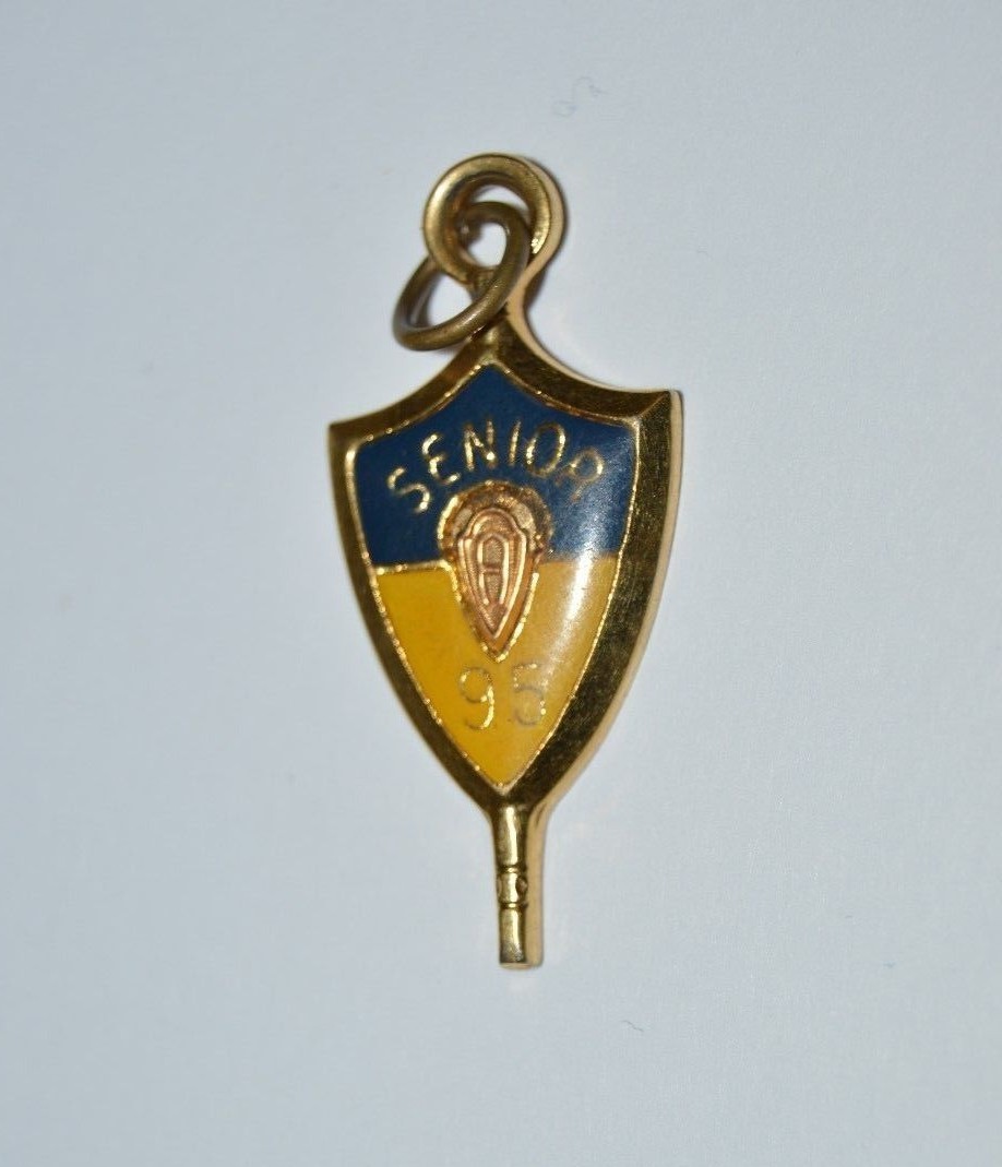 Beautiful Minty Gold Tone Jostens Class of 1995 Pendant Charm Blue & Yellow Gold