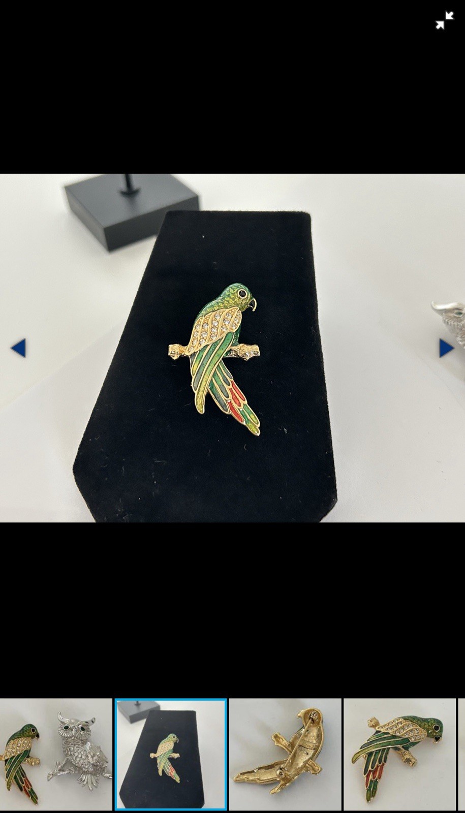 Signed 2pc Bird Brooch Pin Set Enamel Parrot & Rhinestone Owl Multicolor 2 in