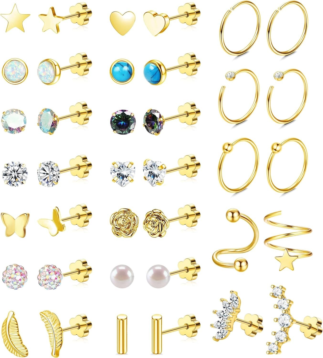 21 Pairs Surgical Steel Earrings Collection