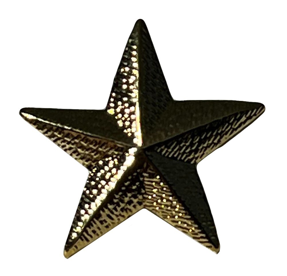U.S MILITARY BRIGADIER GENERAL GOLD ONE STAR COLLAR INSIGNIA