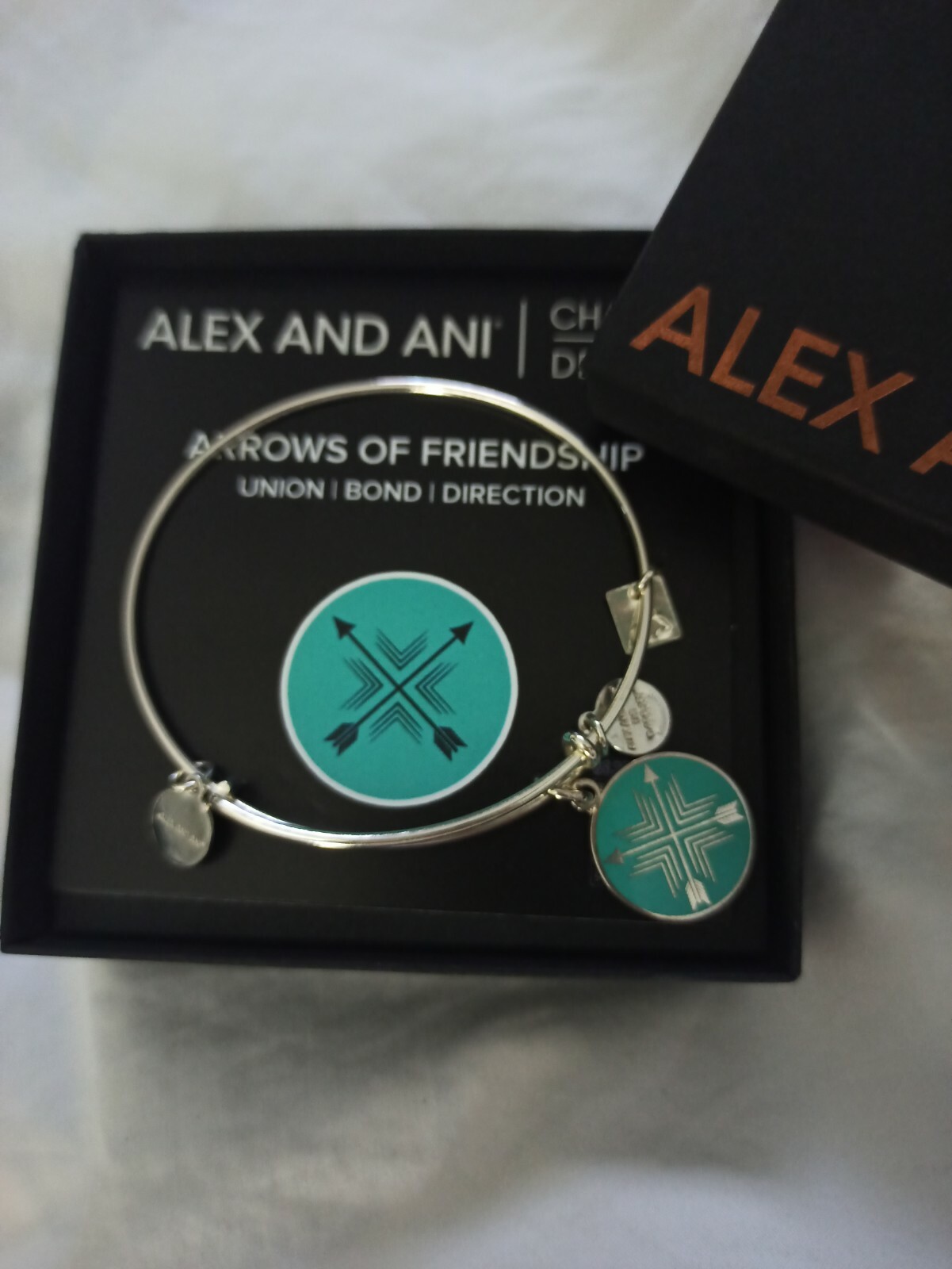 Alex and Ani Shiny Silver Bangle Arrows of Friendship
