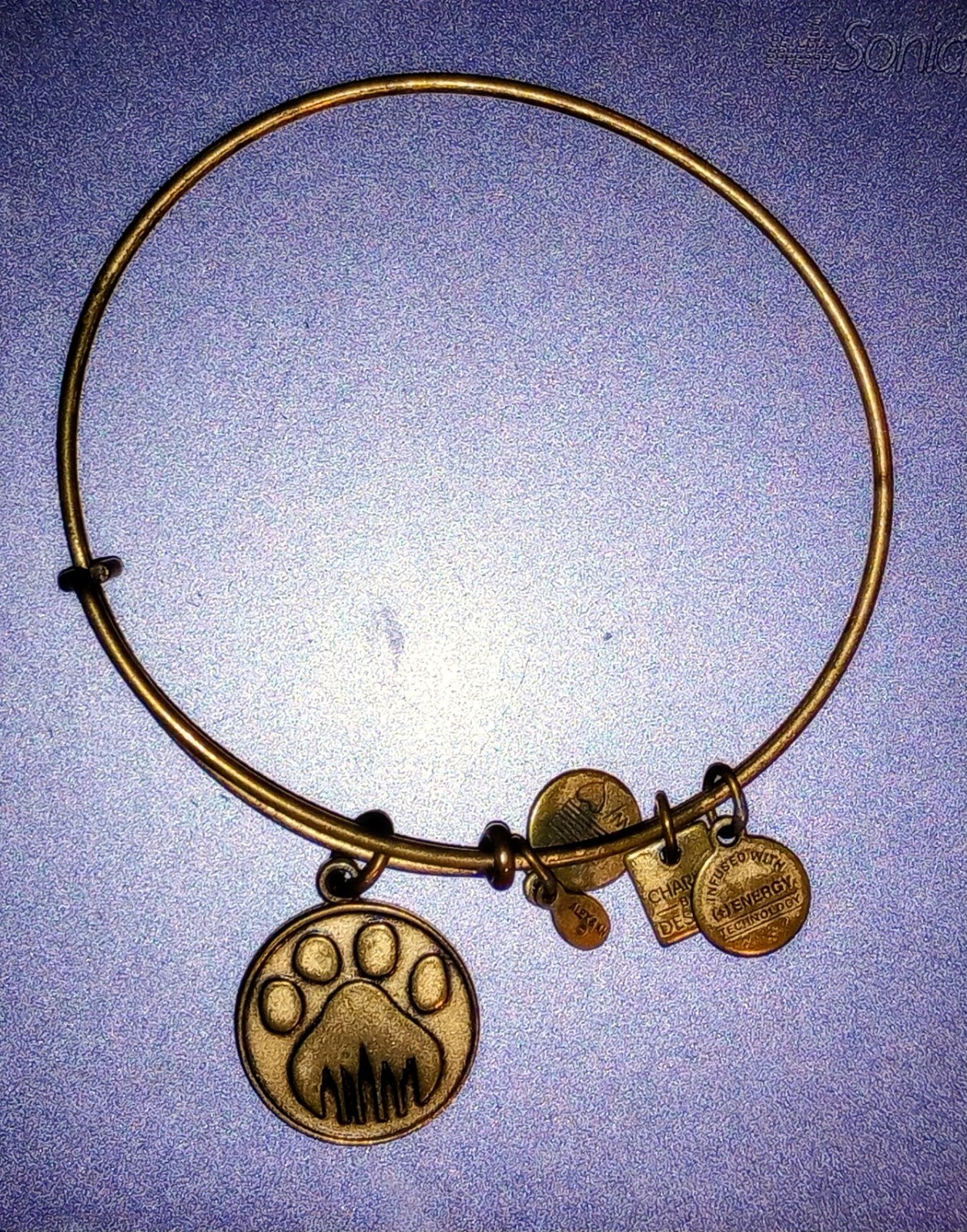 2000s Jewelry Alex & Ani Silver Tone & Gold Tone Charm Bracelets – Lot of 12