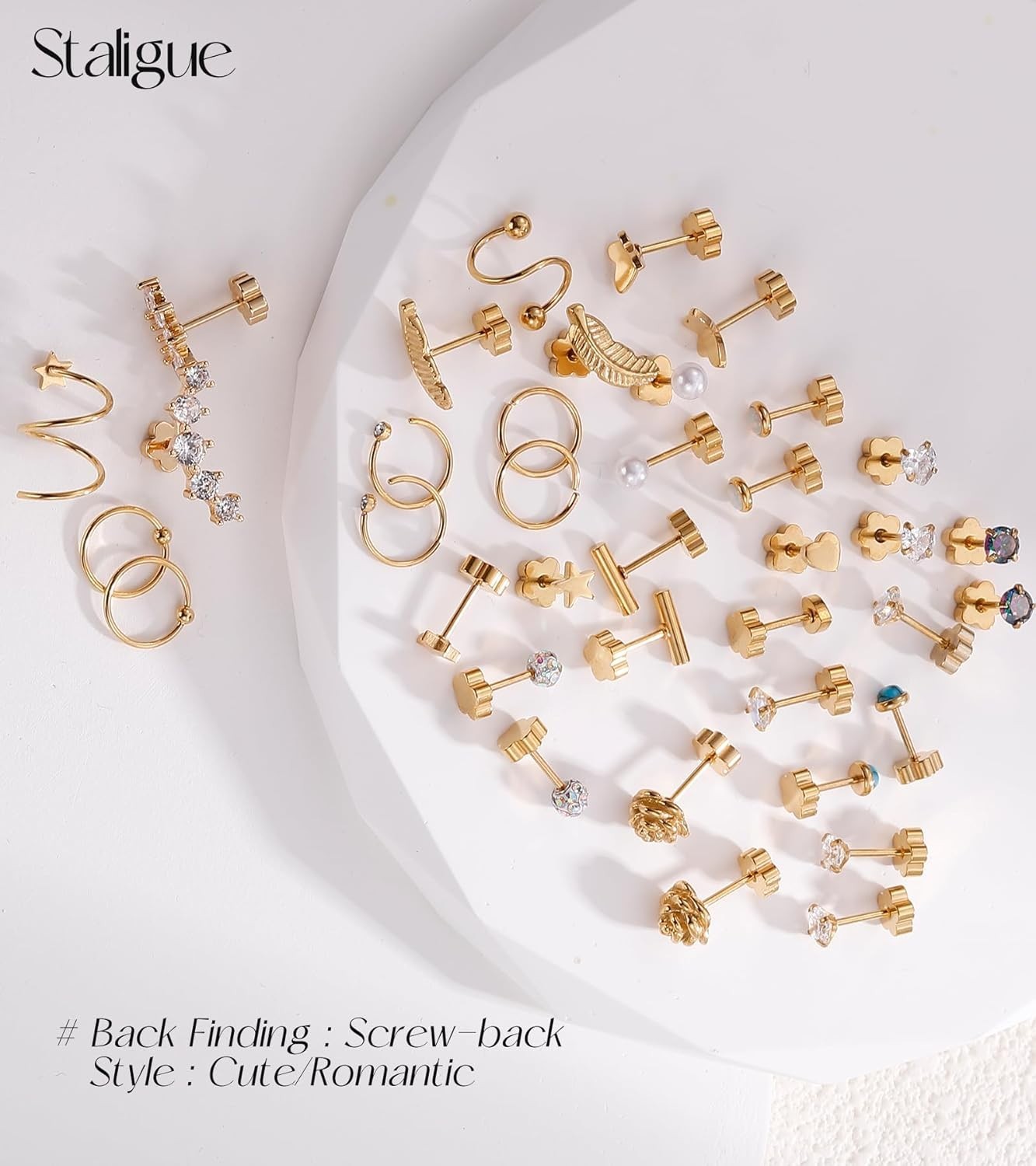 21 Pairs Surgical Steel Earrings Collection