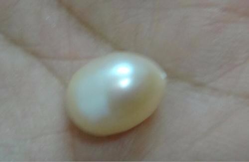 Valued Huge Natural 13.1×10.7mm genuine gold loose pearl great luster