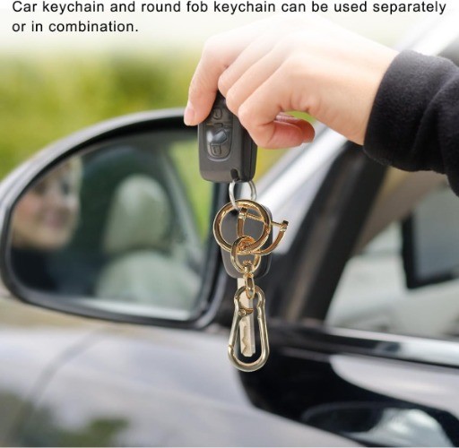 2PCS Car Keychain, Detachable Horseshoe Shape D-Ring Spring Ring Color: Golden