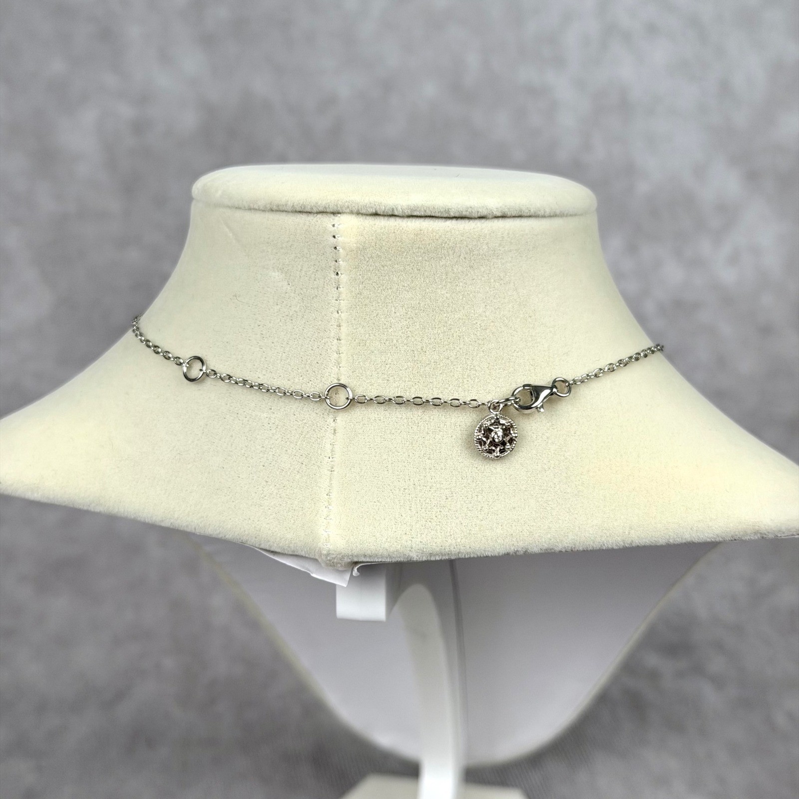 Freida Rothman Sterling Silver Pave Cubic Zirconia Interlocking Circle Necklace