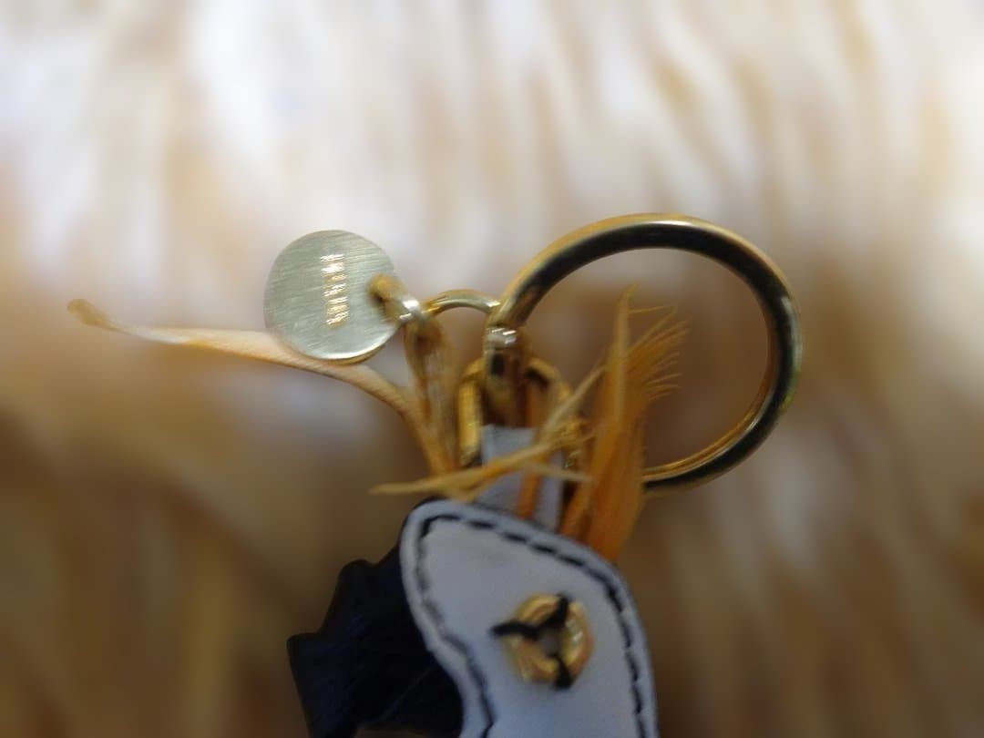 Prada Parrot Keychain with Wings Synthetic Leather White/Pink/Orange/Black