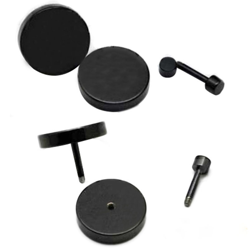Black Stud Earrings Men Women Faux Gauges Ear Tunnel Stainless Steel Earrings US