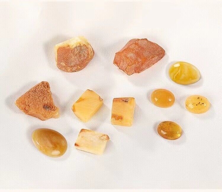 Natural Baltic Egg Yolk Amber Square 8.5mm Stud Earrings Yellow GoldPlate Silver