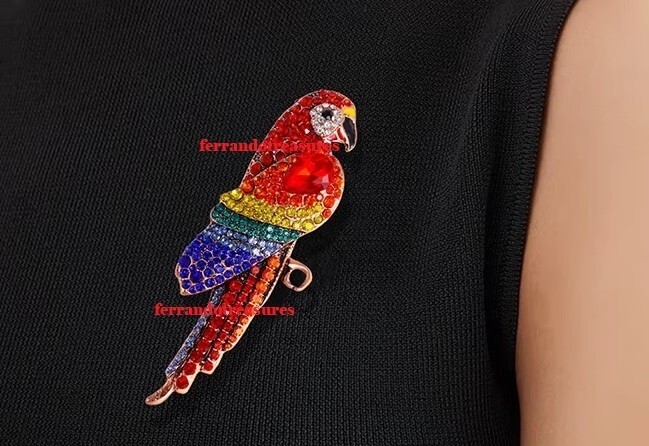 Scarlet Red Macaw Parrot Crystal Rhinestone Pin with Red Velvet Bag – VIDEO
