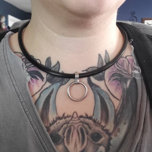 15″ 6mm Curved Matte Black Stainless Steel Locking Eternity BDSM Slave Collar