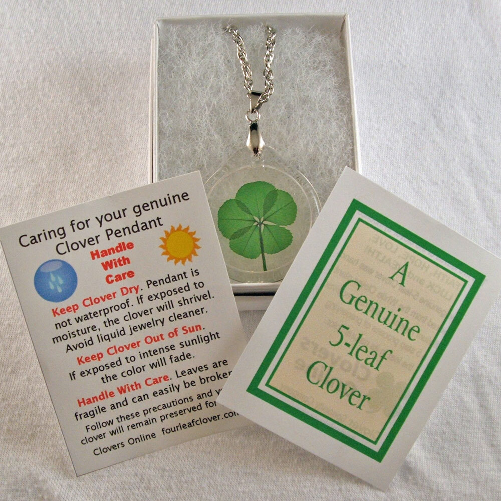 Five Leaf Clover Acrylic Charm Necklace with a Real Five Leaf Clover AN-5J