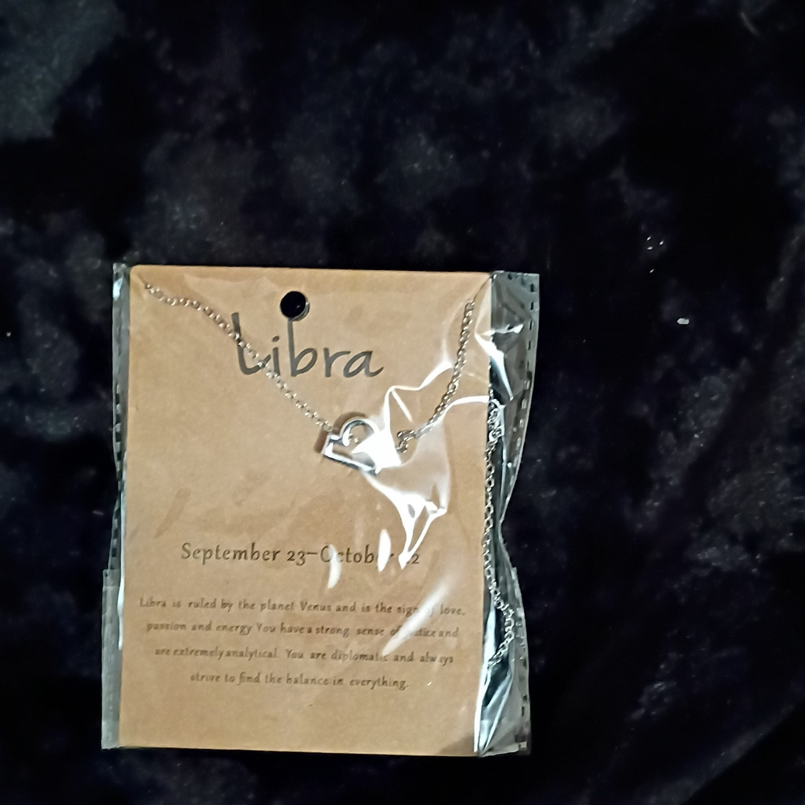 Libra Zodiac Symbol Charm Pendant Necklace Silver Tone Metal Cable Chain