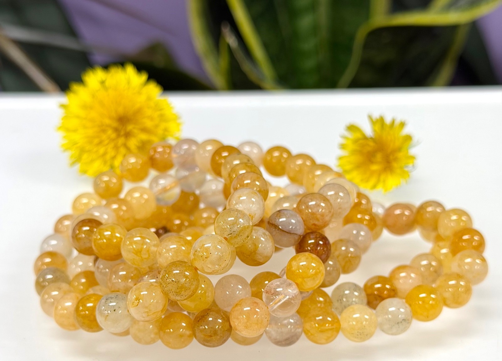 Wholesale Lot 6 Pcs Natural Golden Healer 8mm 7.5” Stretch Bracelet