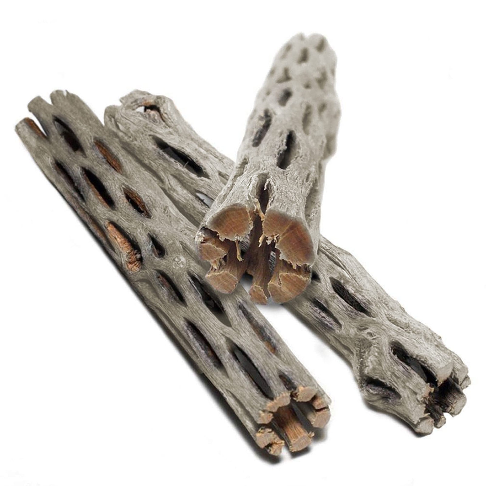 SunGrow Cholla Wood, 6” Climbing Logs, Chew Toy, Aquarium Fish, 6 inches