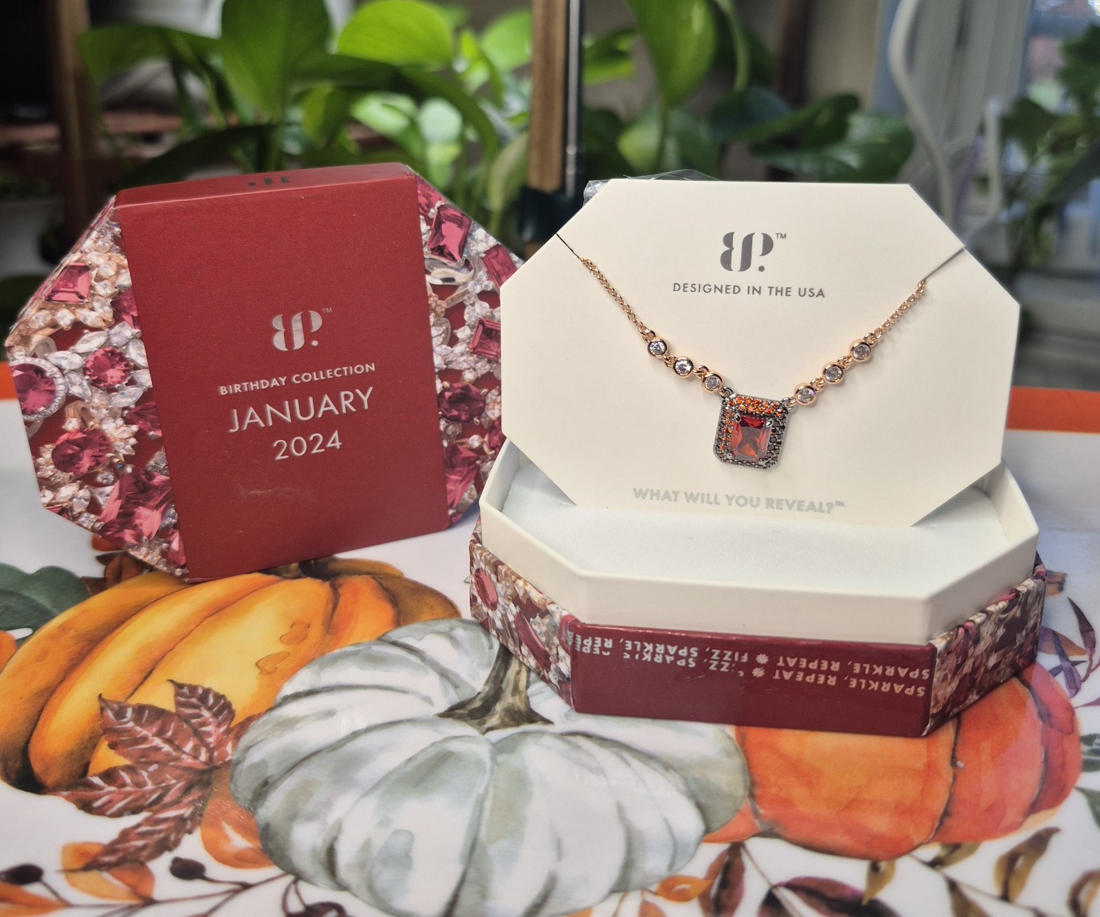 Bomb Party “The Diana Necklace” January Birthday 2024 Necklace RBP6832