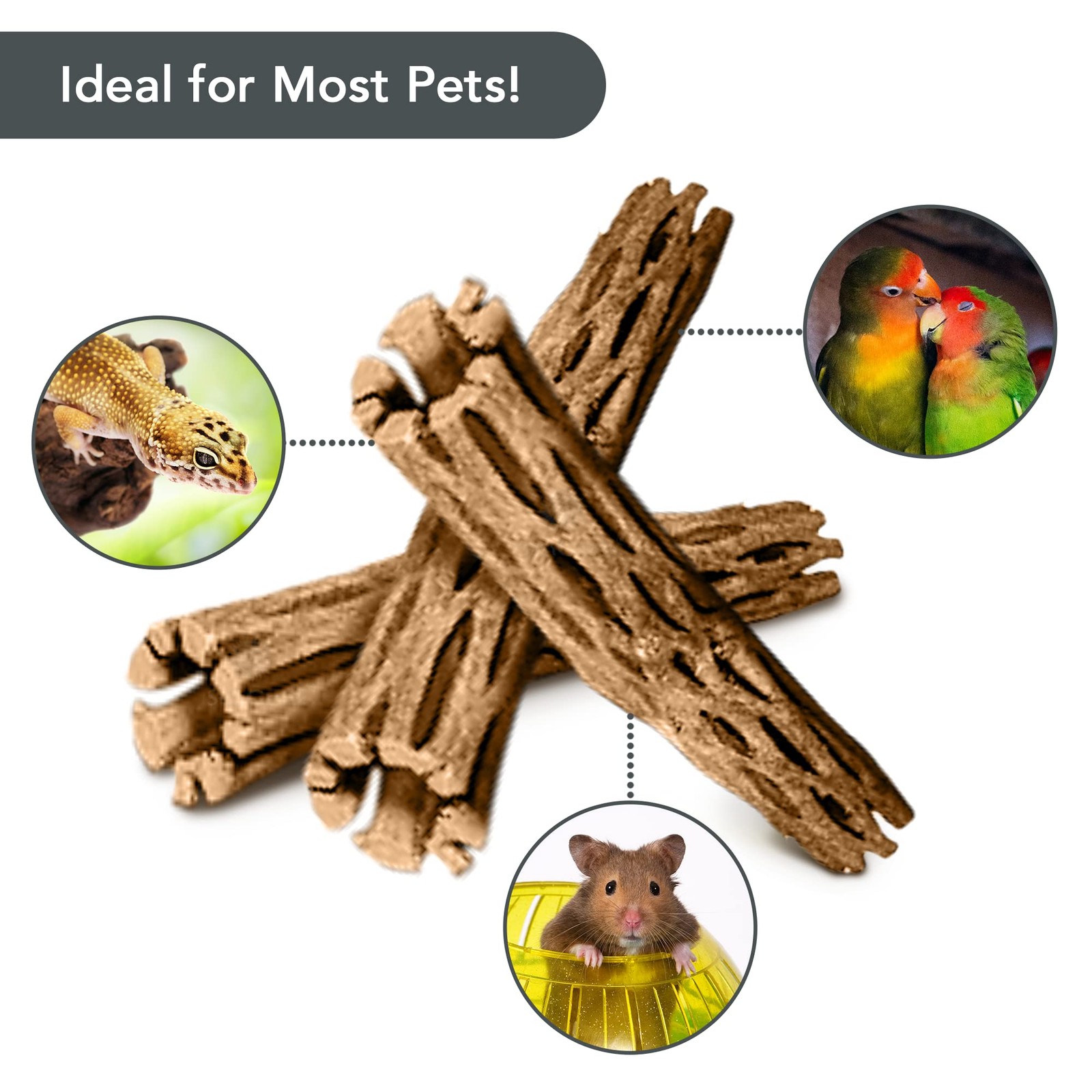 SunGrow Cholla Wood, 6” Climbing Logs, Chew Toy, Aquarium Fish, 6 inches