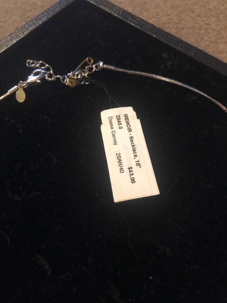 Premier Designs “Memoir” Silver Toned 18″ Necklace $43 (DC)