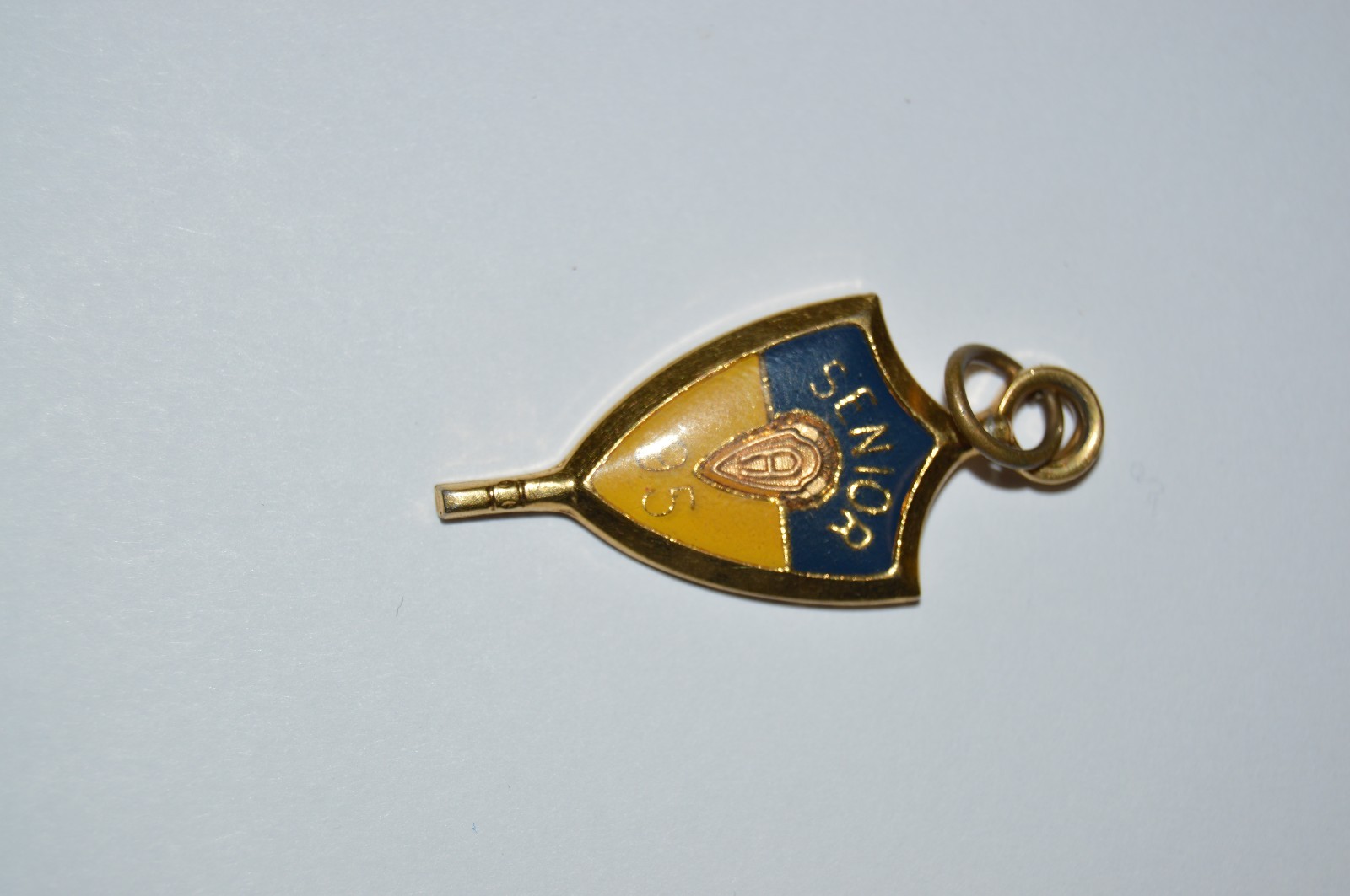 Beautiful Minty Gold Tone Jostens Class of 1995 Pendant Charm Blue & Yellow Gold