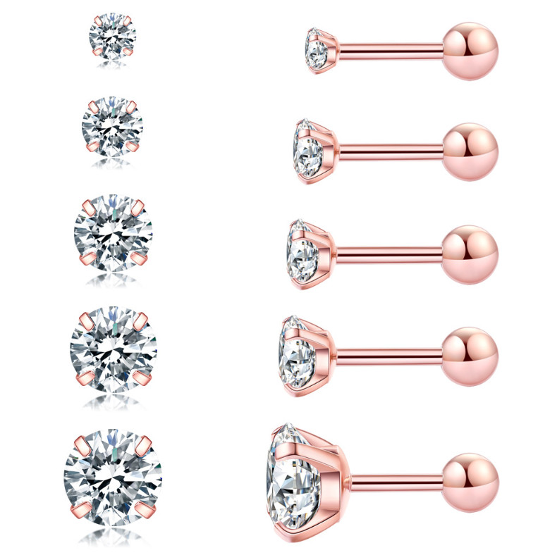 2Pcs Silver Gold Stainless Steel Round CZ Screw Back Stud Earrings for Women Men