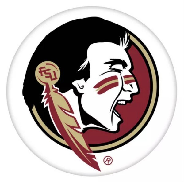 Snap Jewelry Florida Seminoles Glass 18-20mm Fits Ginger Charms Accessories