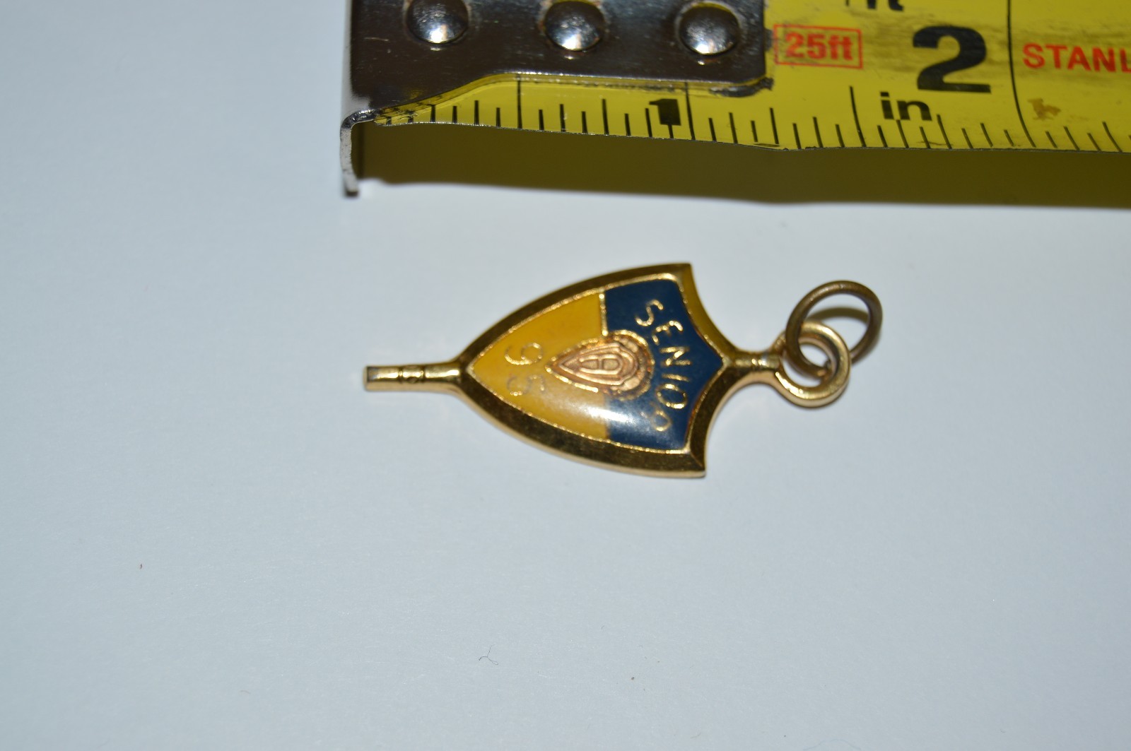 Beautiful Minty Gold Tone Jostens Class of 1995 Pendant Charm Blue & Yellow Gold