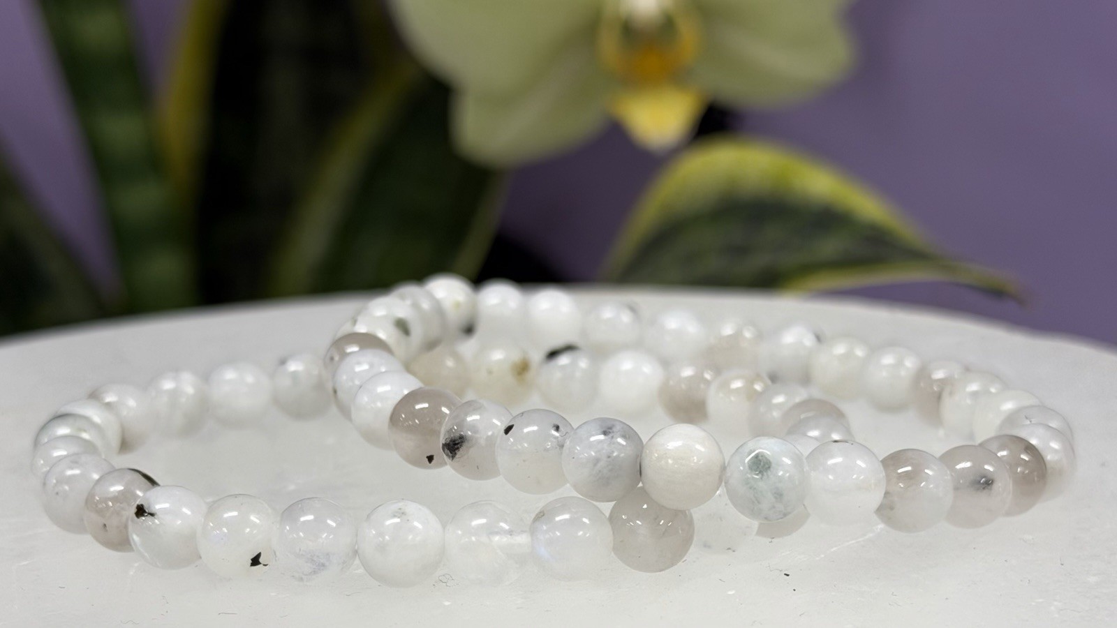 Wholesale Lot 6 Pcs Natural Rainbow Moonstone 6mm 7.5” Crystal Stretch Bracelet